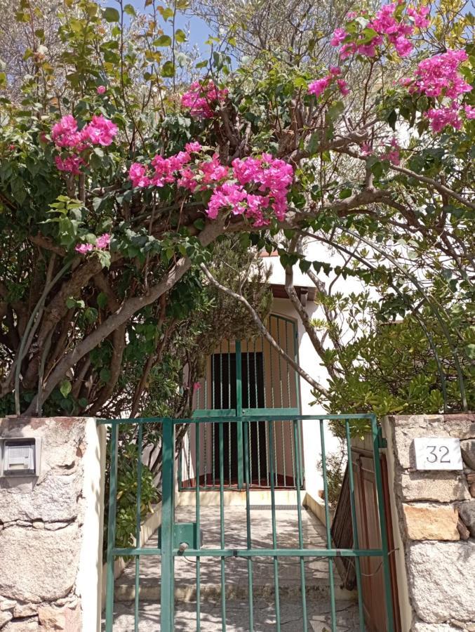 Domus Garden Acomodação com café da manhã Olbia Exterior foto